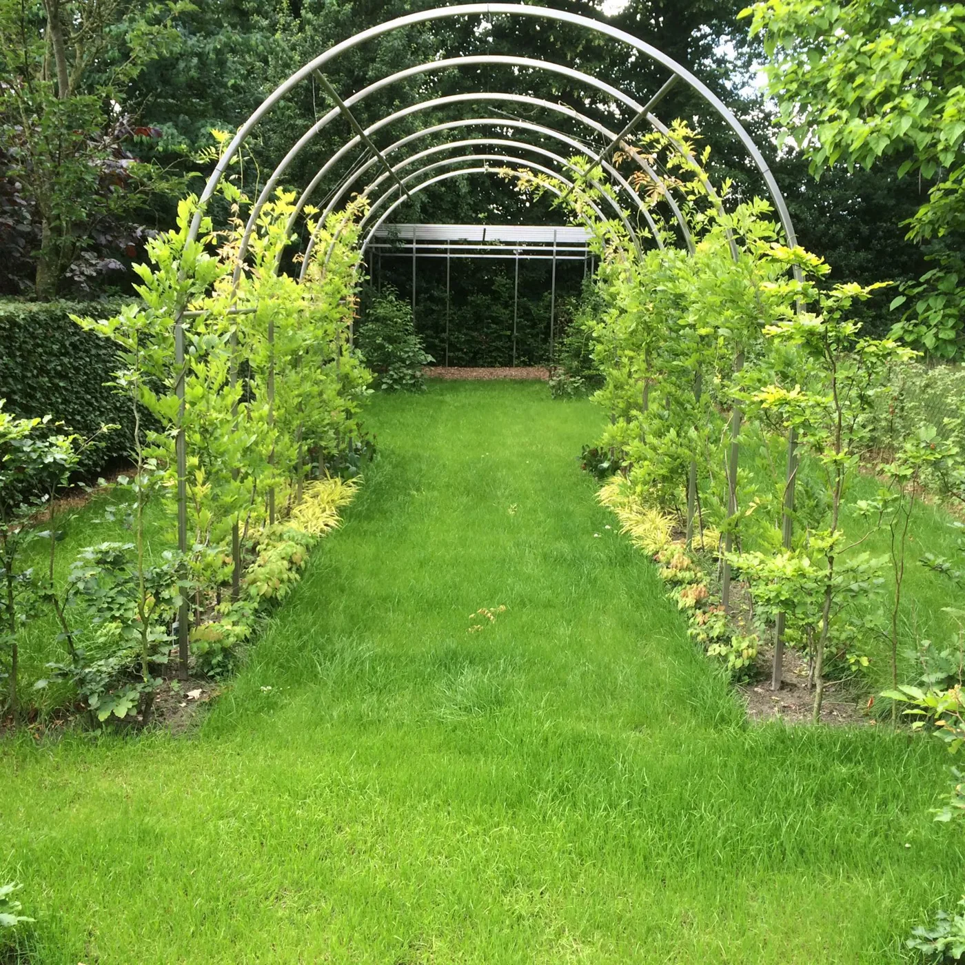 Groene tuin met natuurlijke beplanting