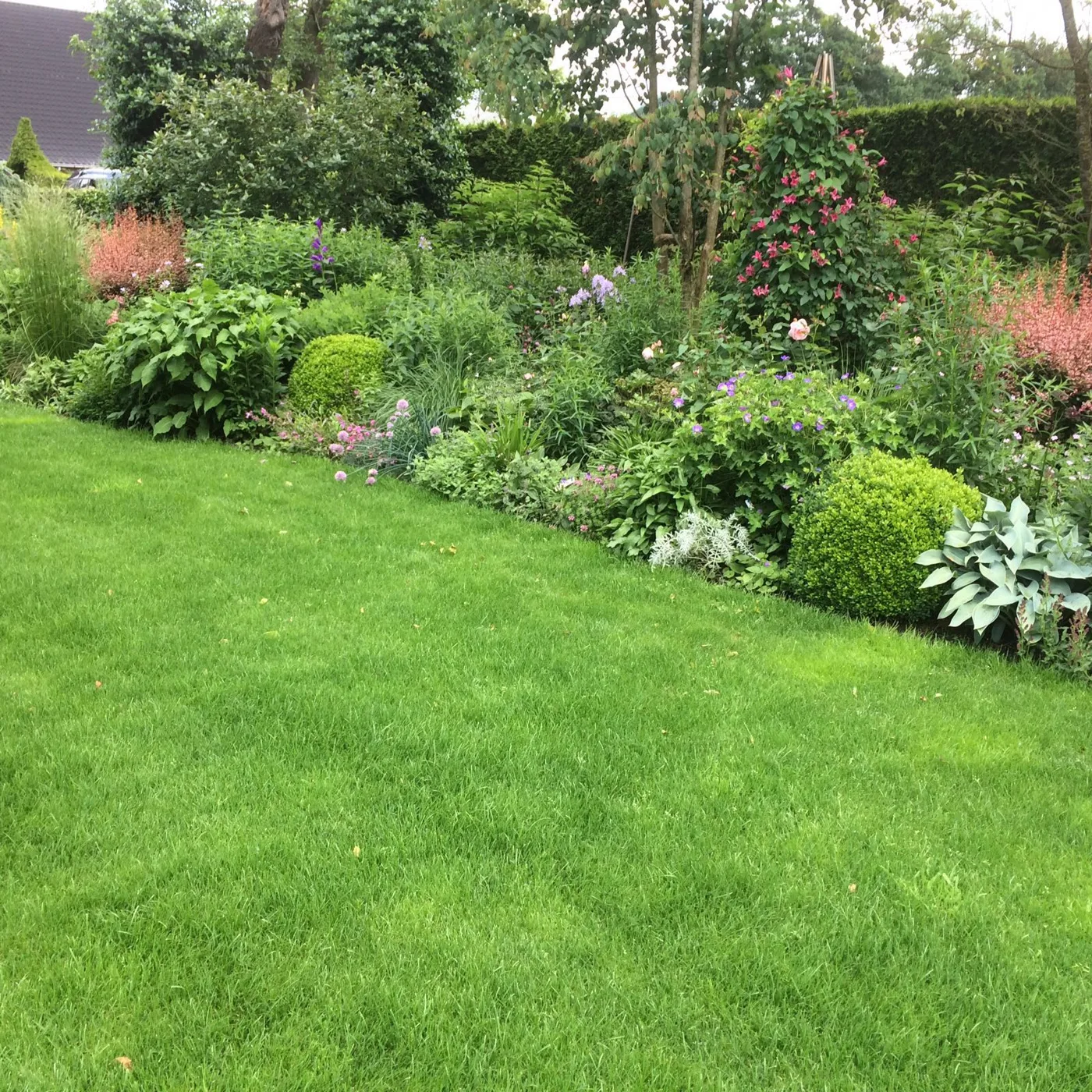 Verzorgde tuin met groen en borders