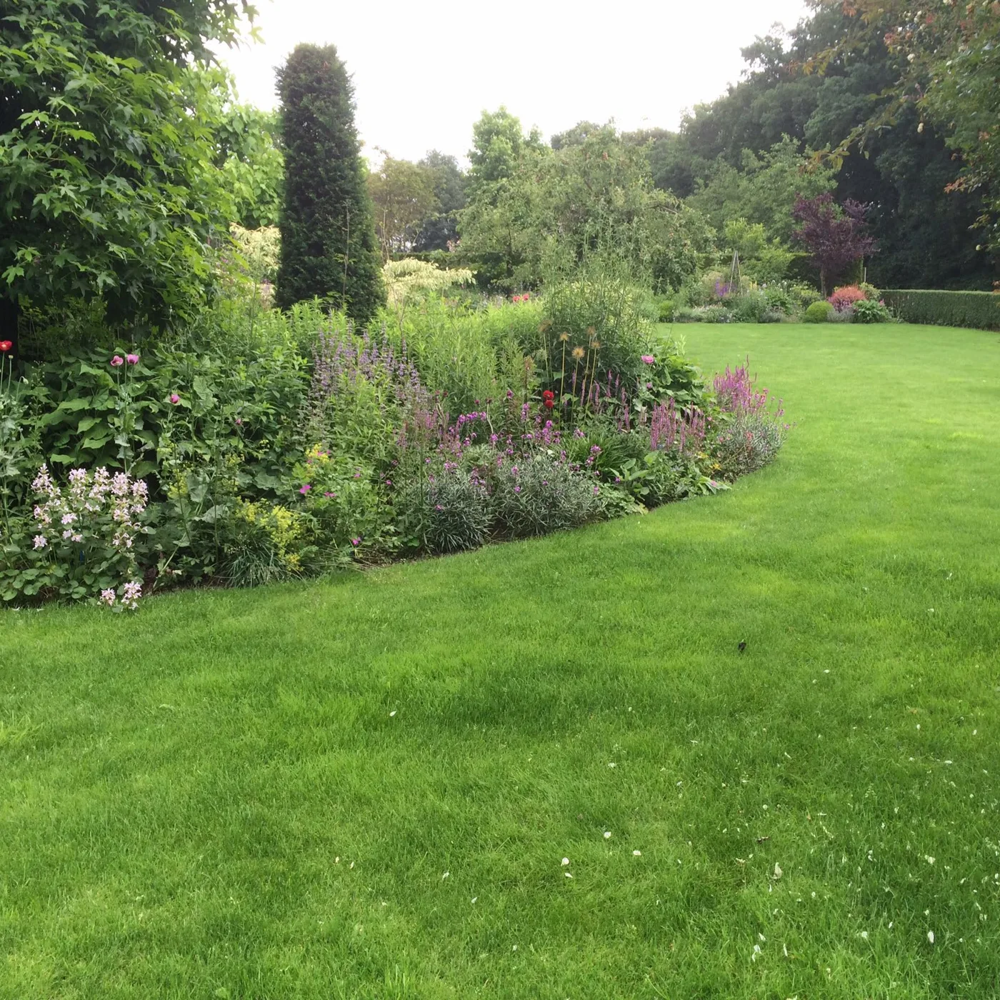Groene tuin